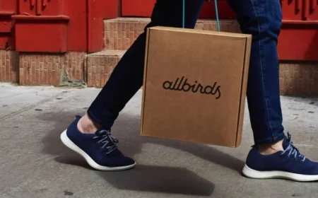 Allbirds Transforms from Shoe Startup to AI Innovator