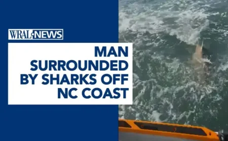 Brett Barley and the shark surge off North Carolina as a warning moment