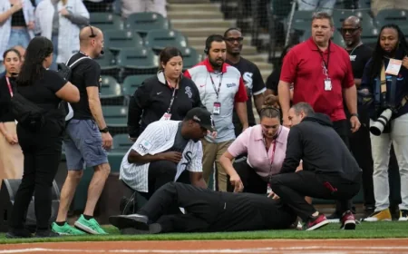 White Sox Anthem Singer Collapses on Field