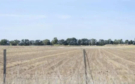 Bureau Of Meteorology Flags El Niño Risk as 2026 Approaches