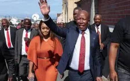 Julius Malema sentenced to five years: what the case could mean next