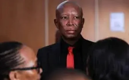 Julius Malema and the five-year sentence that turns a gun case into a test of power