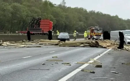 M3 Traffic: 4-mile log spill and closure cause delays after lorry crash