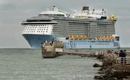 Royal Caribbean and the $45K Cruise Scam: Why One Arrest Is Raising Bigger Questions