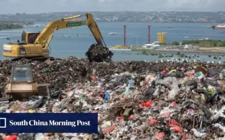Bali’s Waste Crisis Exposes a Bigger Problem Behind the Landfill Ban