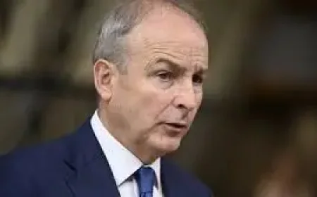 Fianna Fáil and the Leadership Test That Would Not Fade