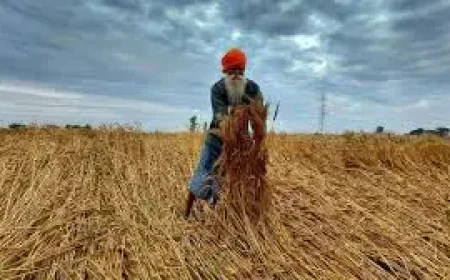 Fertilizer Watch Stalls as Global Food Shock Fears Build