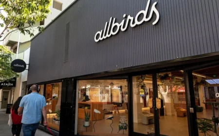 Allbirds Shares Plunge 31% as AI Pivot Rally Dampens