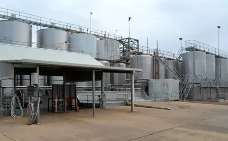 Winemasters Sa Failed Sale and the Human Cost of a Winery Collapse