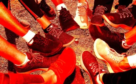 Allbirds Stock Plummets Amid Realization of Dubious AI Strategy