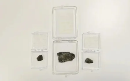 Martian Meteorite Mystery: 7 Contaminants, Including Ballpoint Pen Ink, Found in Rare Samples