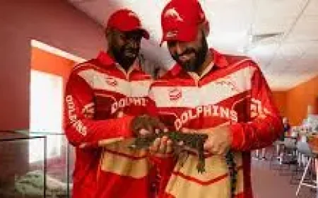 Dolphins Vs Panthers: 3 reasons Andrew Johns sees a major Darwin upset