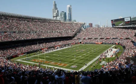 Bears Face Deadline to Choose New Stadium Location
