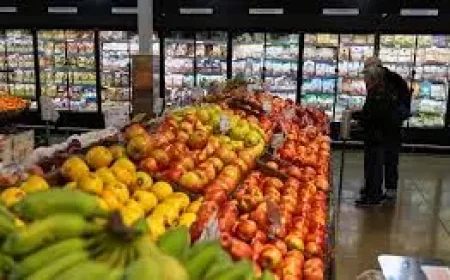 Canada Grocery Payment Date: Ottawa’s June 5 One-Time Benefit Could Put Up to $533 in a Family’s Account