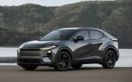 Véhicule électrique à petit prix: how a crowded market is changing the family car