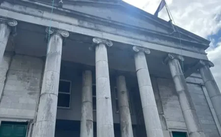 The Kerryman case exposes a violent contradiction in a van reversal that ended in reckless endangerment