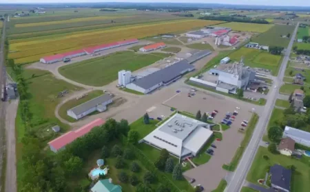 Duchesne Et Fils Faces Fast-Approaching Liquidation in Yamachiche