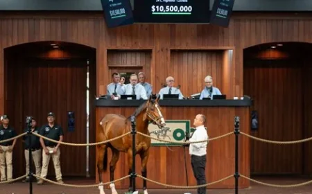 Flightline Colt Breaks OBS Record with $10.5M Sale