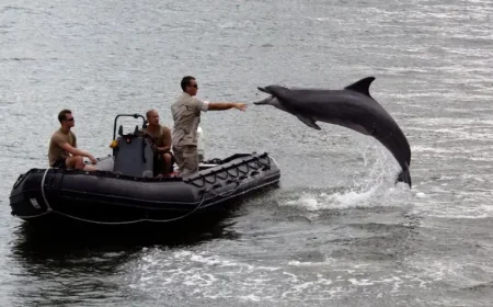 United States Navy and the Strait of Hormuz: What Happens When Mine-Clearing Begins