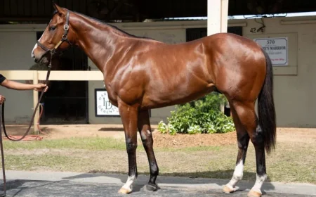 Flightline Colt Fetches $10.5 Million at OBS April Sale