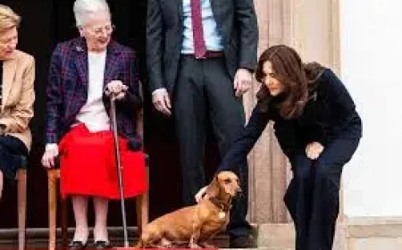 Queen Margrethe Ii’s Sharp Public Correction Exposes the Royal Etiquette Still Governing the Danish Court