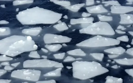 Antarctica sea ice puzzle deepens as robots reveal hidden ocean shift