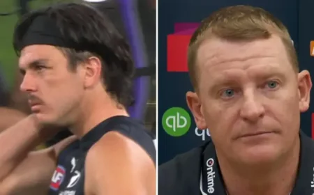 Elijah Hollands Mental Health as AFL inquiry deepens after Carlton review