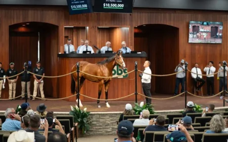 Flightline Colt Sells for $10.5 Million at OBS April Sale