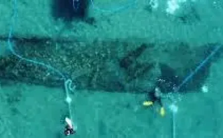 Gibraltar Shipwrecks Expose a Hidden History of War, Trade, and a Busy Sea Lane