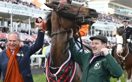 Noble Yeats dies at 11: 5 facts that explain why the Grand National hero still mattered