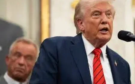 Ibogaine Under New Trump Review as White House Prepares Executive Order