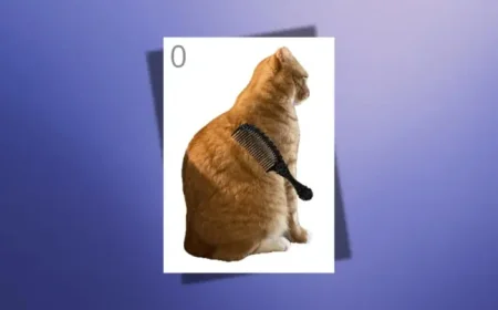 Brush Jjaemu as the viral cat game craze builds momentum