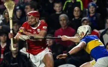 Kildare V Wexford: The quiet championship start that hides a sharper test