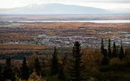 11th Airborne Division Bear Encounter as Alaska Training Risks Come Into Focus