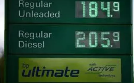 Petrol Price Today: UK fuel costs finally ease after 6 weeks of rises