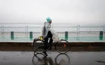 Monsoon Woes and Fertilizer Strains: 3 Pressure Points for Indian Farming