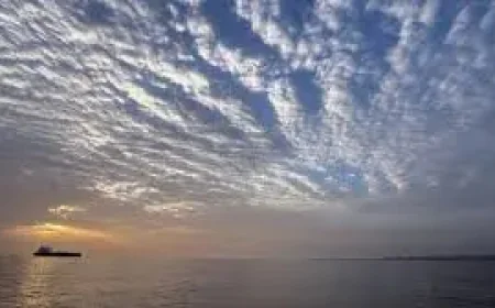 Australian Petrol Prices Falling as Strait of Hormuz talks sharpen fuel pressure for Australia