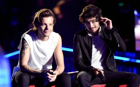 Netflix Scraps Zayn Malik and Louis Tomlinson Documentary Amid Altercation Claims