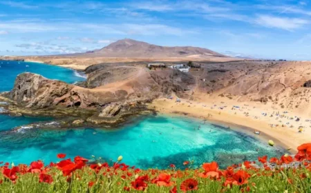 Lanzarote tourists warn they “won’t return” after unexpected issue