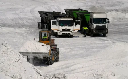 Us Competition Rare Earths China: US Backs South Africa Project Despite Diplomatic Clash