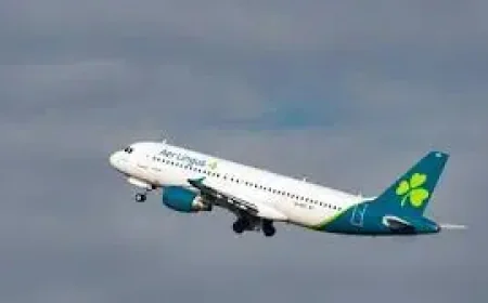 Aer Lingus Cuts Flights as Summer Disruption Spreads