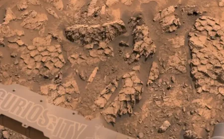 Mars Rover Finds 1 Strange Formation Near Antofagasta Crater That Looks Like Reptile Scales