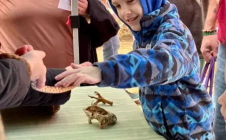 Nh Day Wows Families, But the Real Story Is How New Hampshire’s Wild Lessons Are Packaged