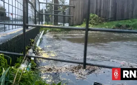 Wellington Flooding: 3 urgent signals behind New Zealand’s state of emergency