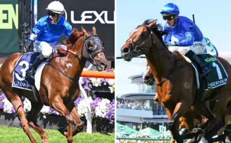 Tentyris and the Quiet Shift from Racing to Breeding