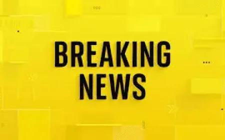 Japan Earthquake Triggers Tsunami Warning Off Northeast Coast