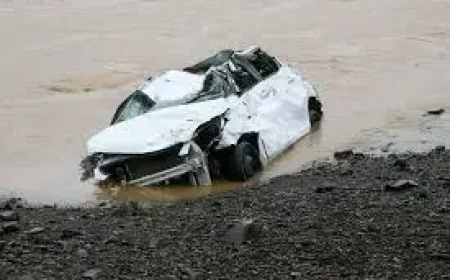 Flood Emergency in Wellington: 77mm in Under an Hour and a Capital on Alert