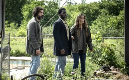 From Tv Series Faces Its Last Chapter as Fans Brace for the End