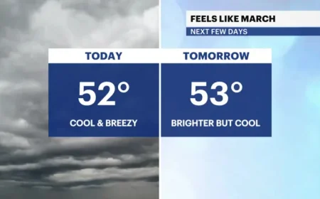 Weather Brooklyn: How a Cold Start Gives Way to a Gentler Week