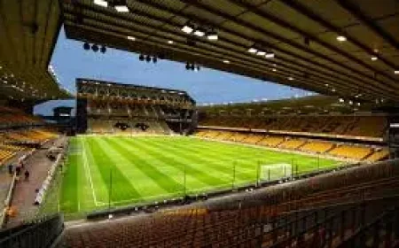 Tolu Arokodare fined by Wolves after dressing room altercation